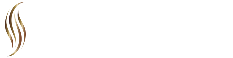 CEO On Fire Logo