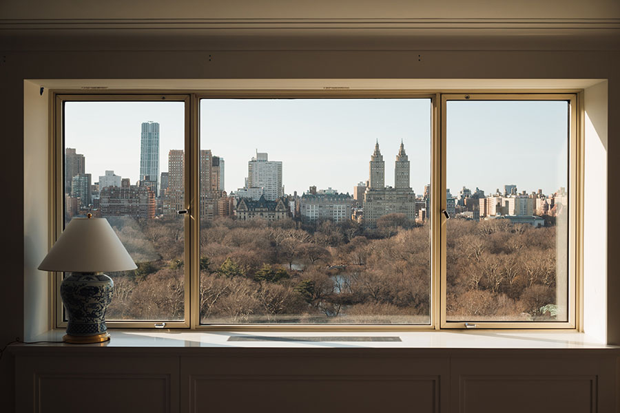 View from window of Central Park