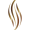 Gold Fire Logo